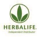 Partner Client Logo